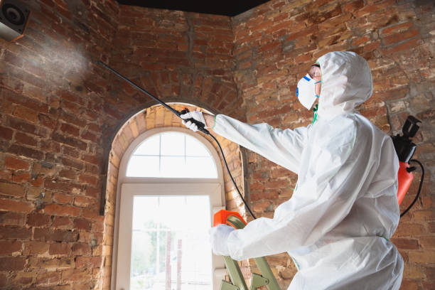 Best Asbestos and Lead Testing During Mold Inspection in New Hope, MN